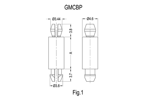 GMCBP&GCBP 2D 503X350.jpg